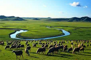 CWT膜裝備落戶“世界屋脊” 治理高原農(nóng)牧水污染