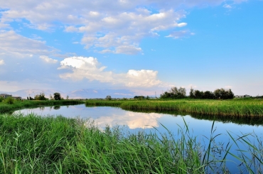 MBR南水北調(diào)水源地應(yīng)用加碼 市場拉升動力強(qiáng)勁